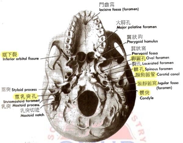 6a4773b5b293f.jpg