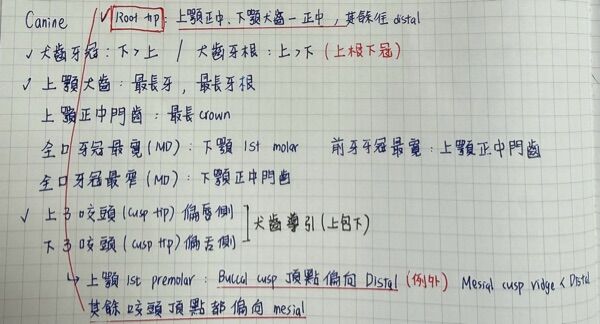 6a47792ce5f08.jpg