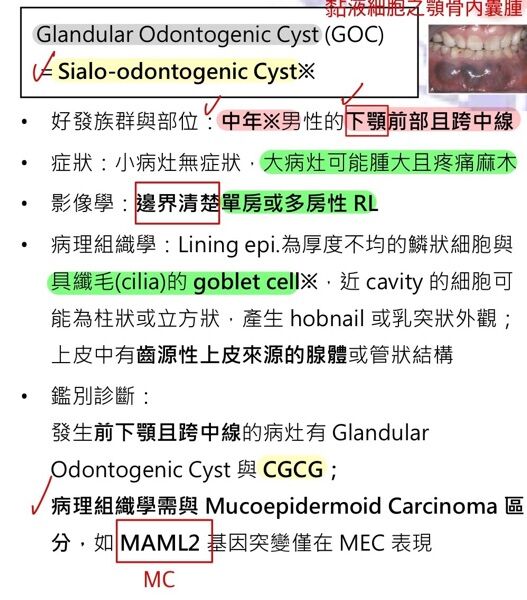 6a479e891cb2e.jpg