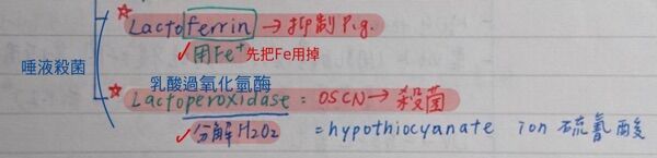 6a47a9e6ed1f3.jpg