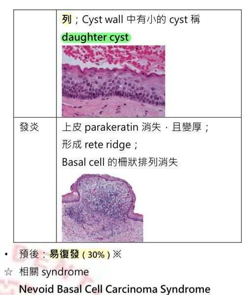 6a47b6c56088f.jpg
