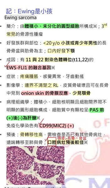 6a47be0c3af27.jpg