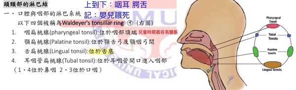 6a488f38f1772.jpg