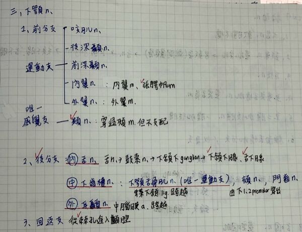 6a489365373f8.jpg