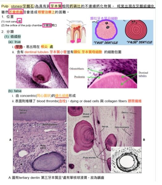 6a489789c8424.jpg