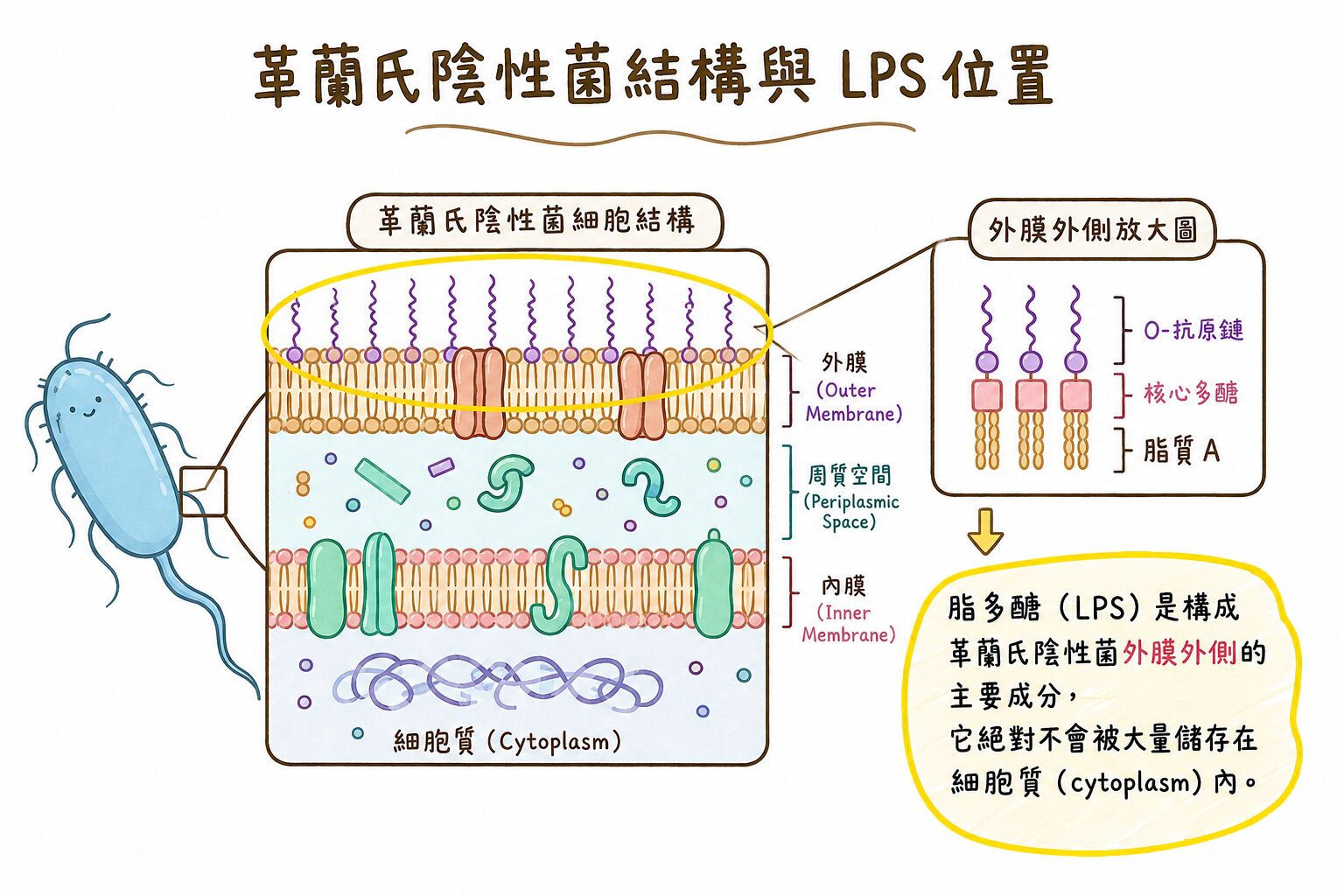 6a48c21a2559f.jpg