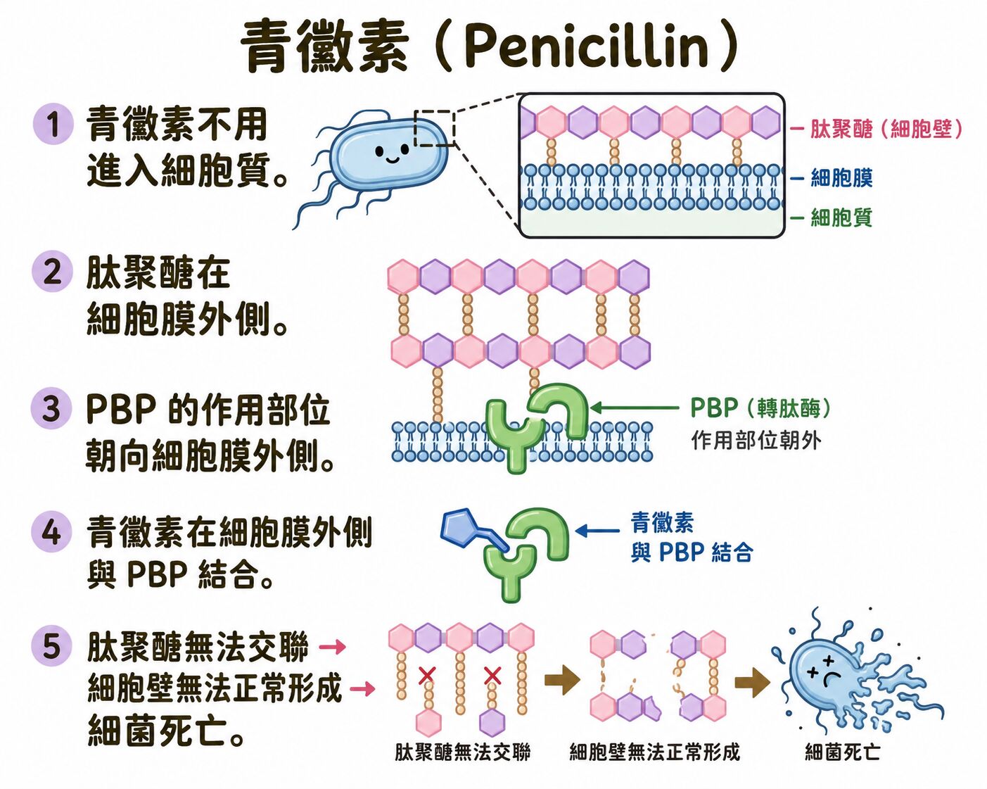 6a48cab55f11d.jpg