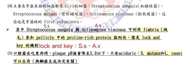 6a4903e707bac.jpg