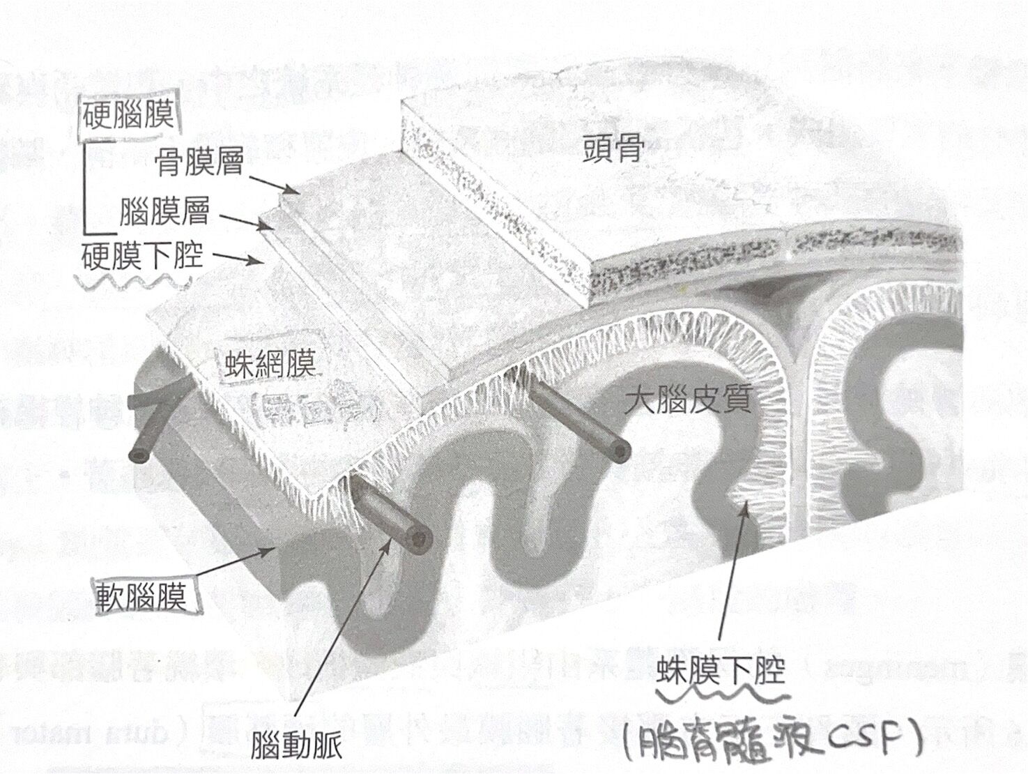 6a49d4dd57435.jpg
