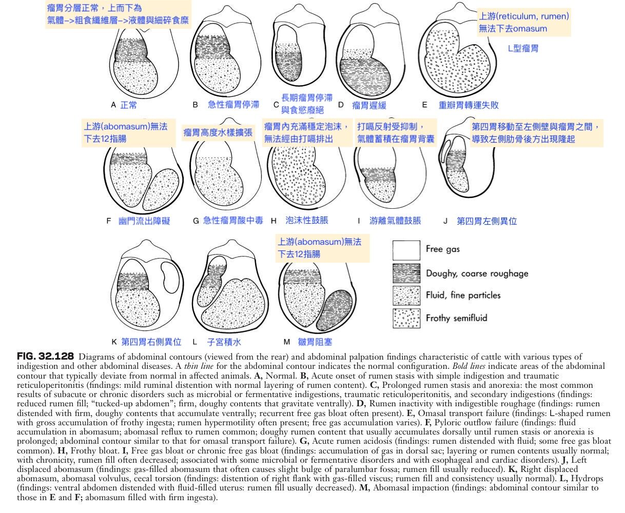 6a49e8adac745.jpg