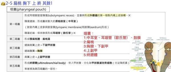 6a49ecf288ad4.jpg