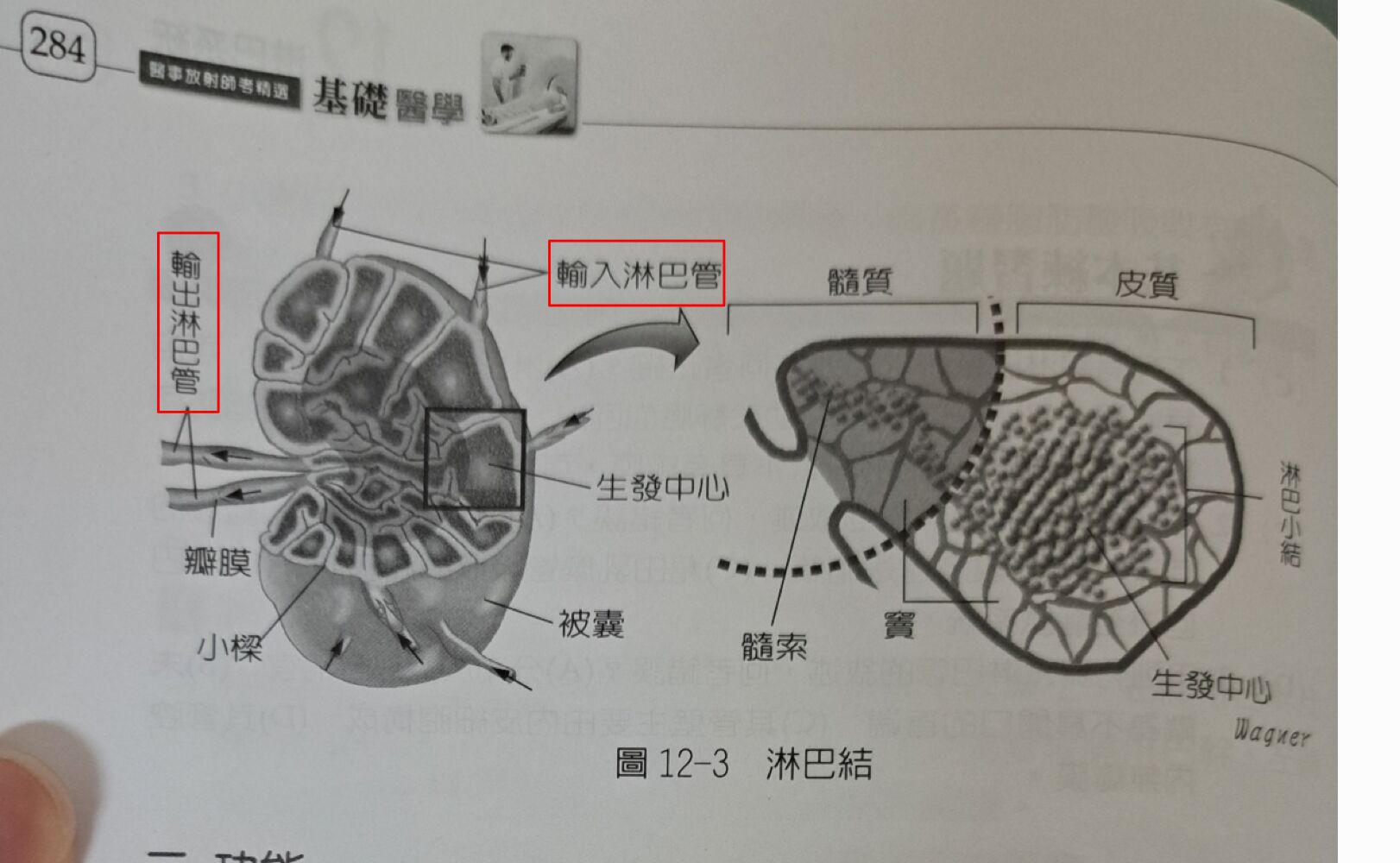 6a4a0c7110f2e.jpg