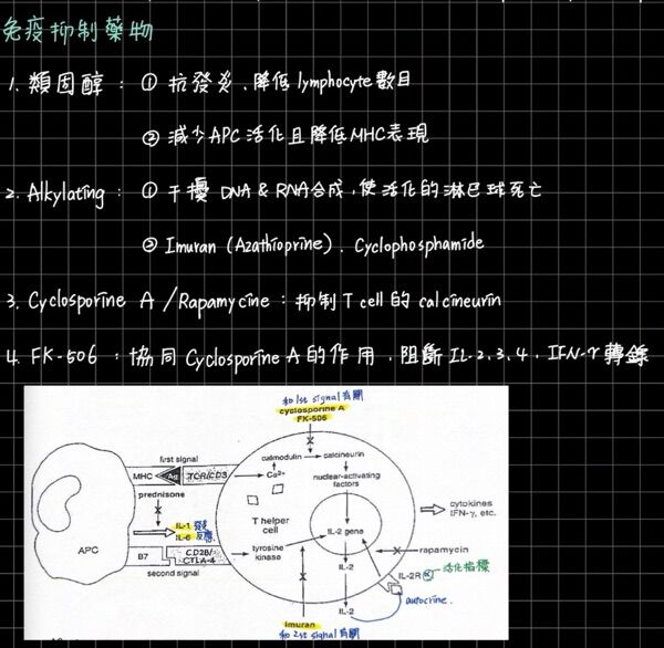 6a4b1a635cb63.jpg