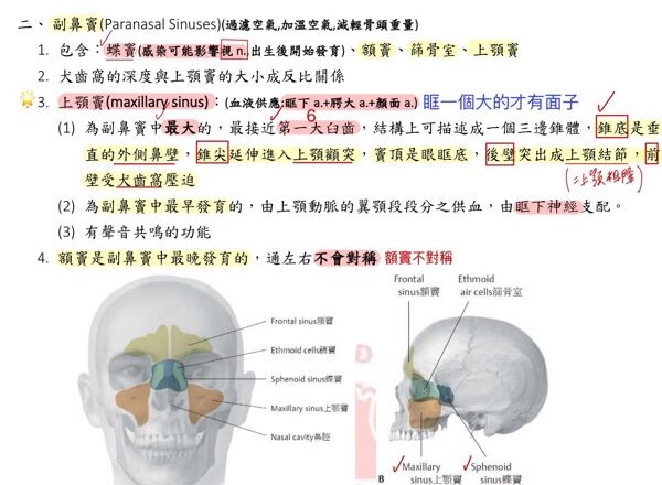 6a4b2c6de2503.jpg