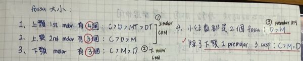 6a4b45503c1af.jpg