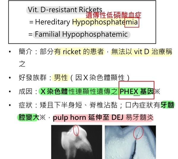 6a4b93bdb6193.jpg