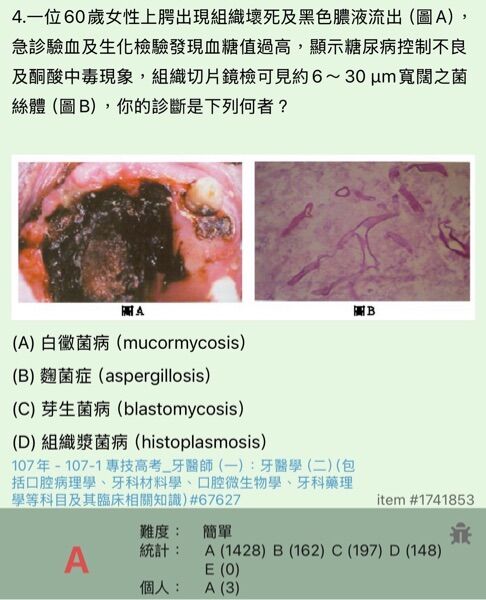 6a4b96b128854.jpg