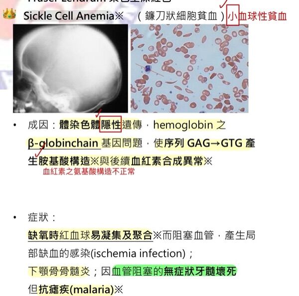 6a4b98b185ac9.jpg