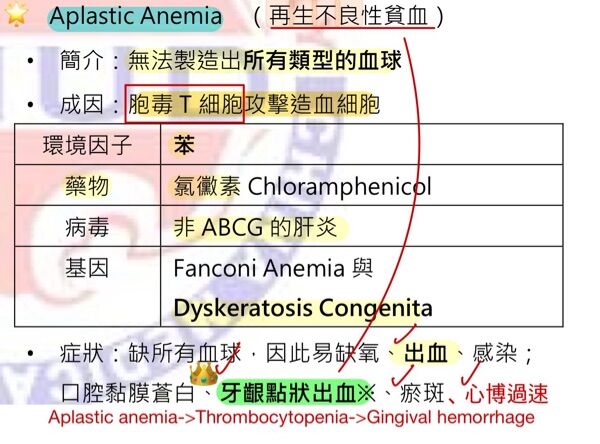 6a4b99043b49f.jpg