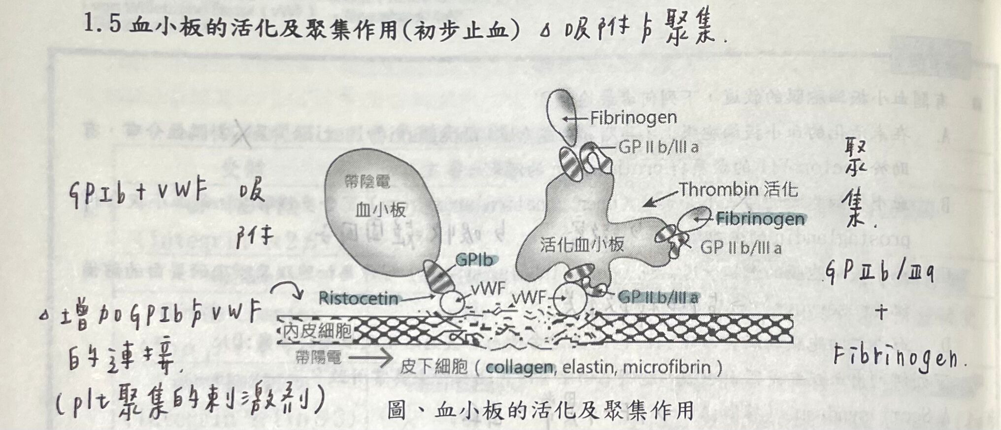 6a4cb6991a143.jpg