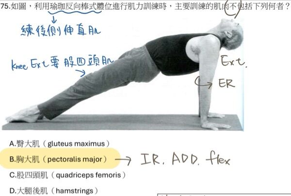 6a4cc48cdaf9d.jpg