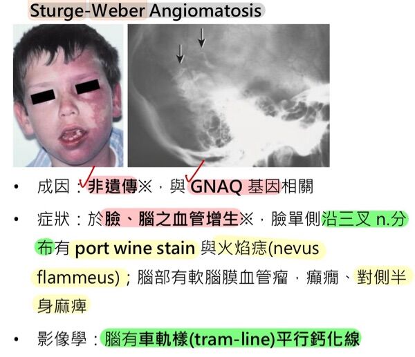 6a4ceb44e2cd8.jpg