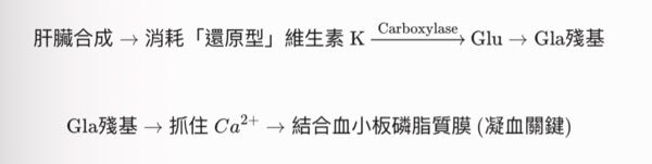 6a4db95cbed5c.jpg