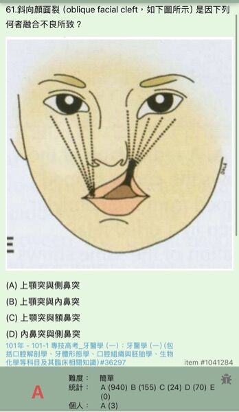 6a4dea005e891.jpg