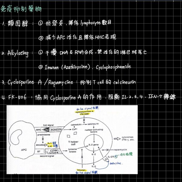 6a4f10ccd26c7.jpg