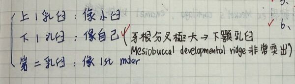 6a4f366fd1cc5.jpg
