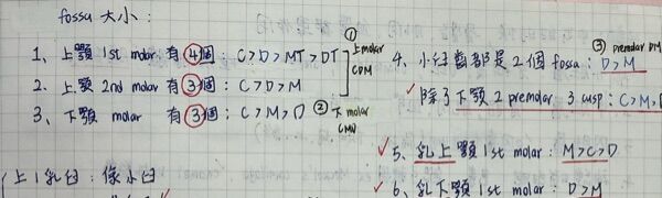 6a4f3c7d9829f.jpg