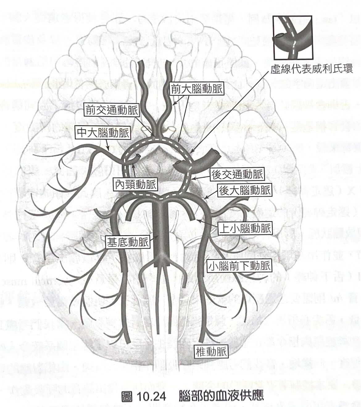 6a4f835028f1c.jpg