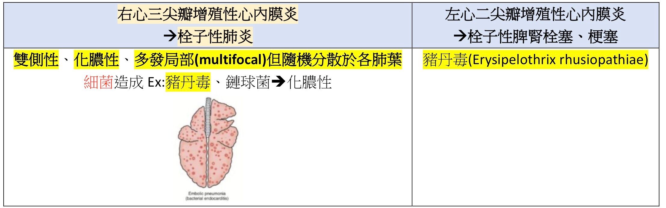 6a4f926166d22.jpg