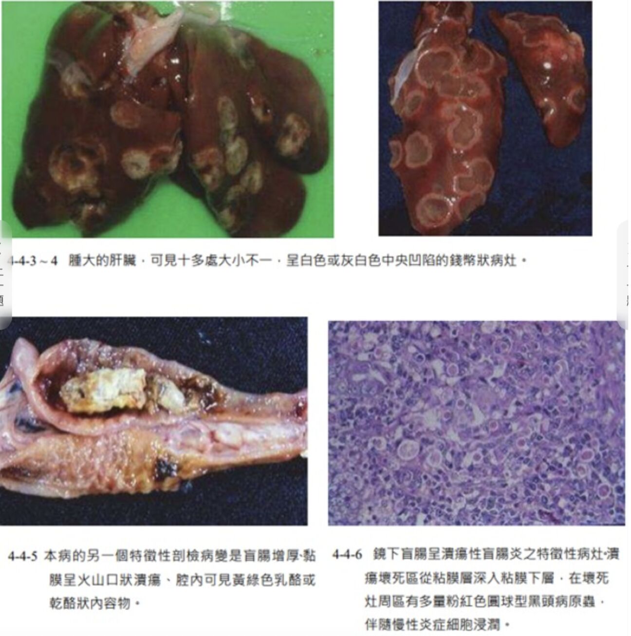 6a4f9eba1e448.jpg