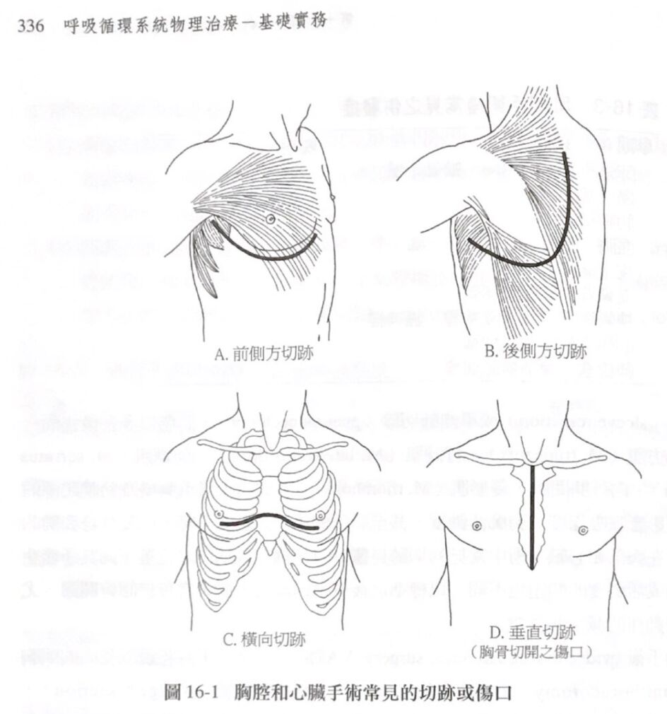 6a4fa184a34fa.jpg