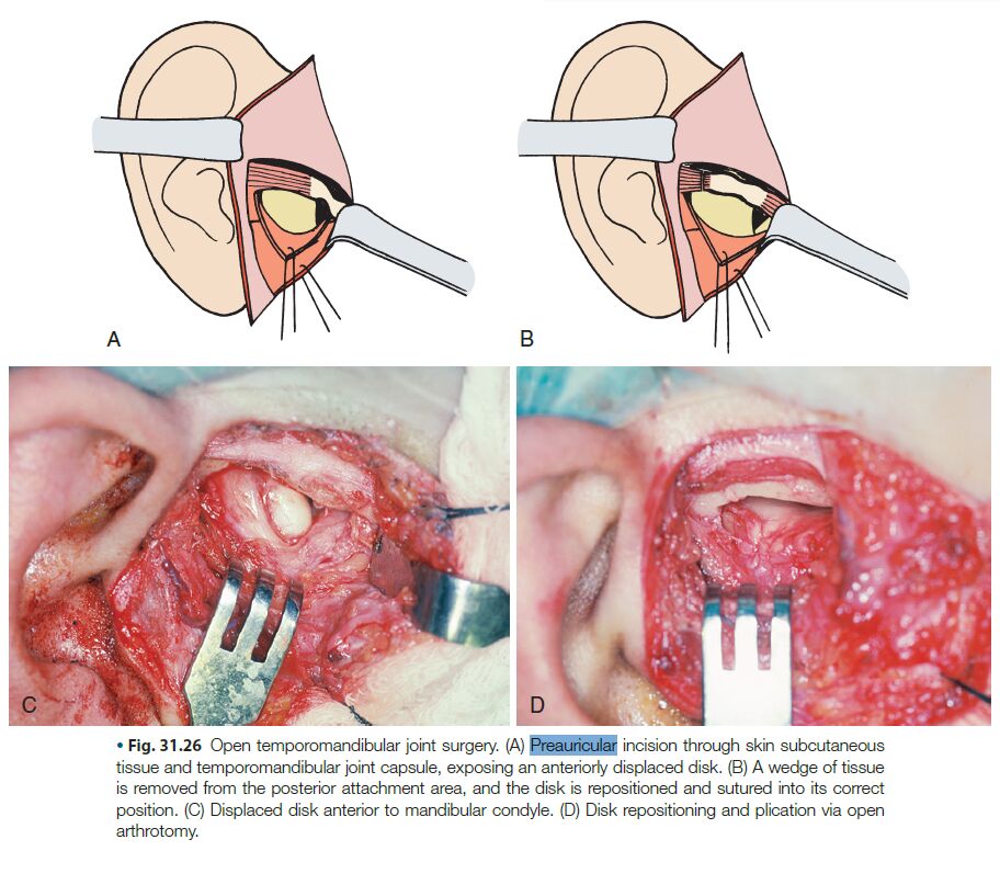 6a4fda32566af.jpg