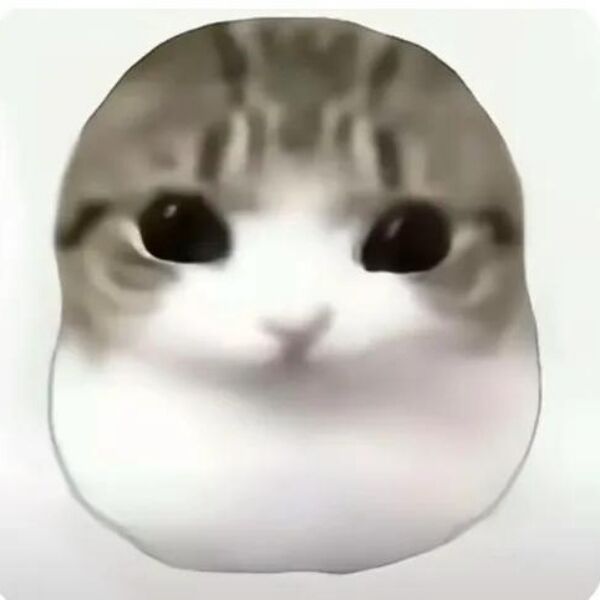 咩咩