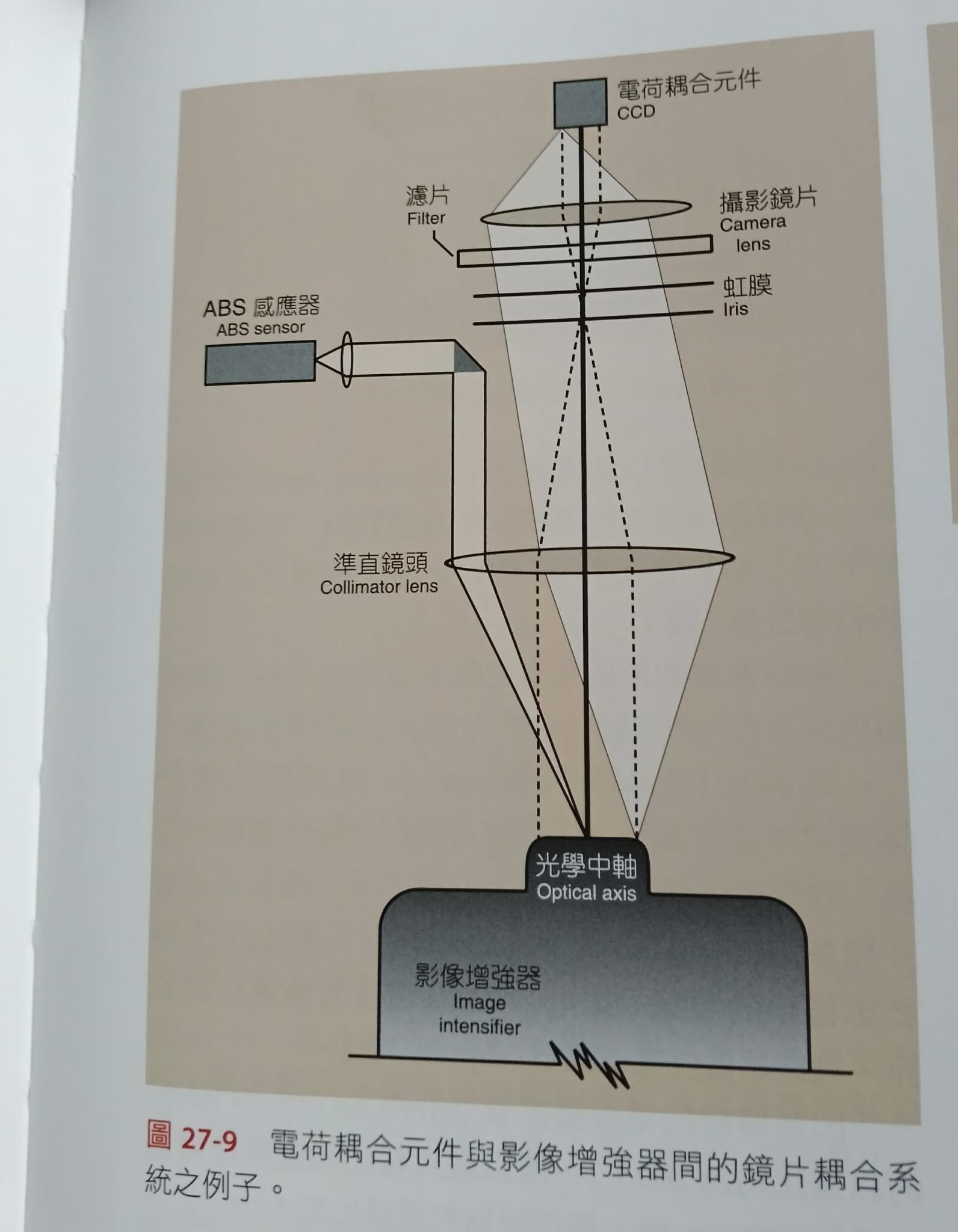 6a51eb51bab76.jpg
