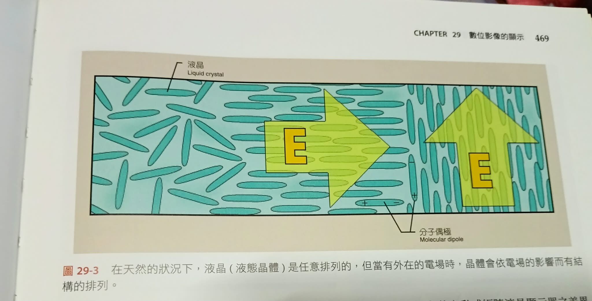 6a521c3546bb0.jpg