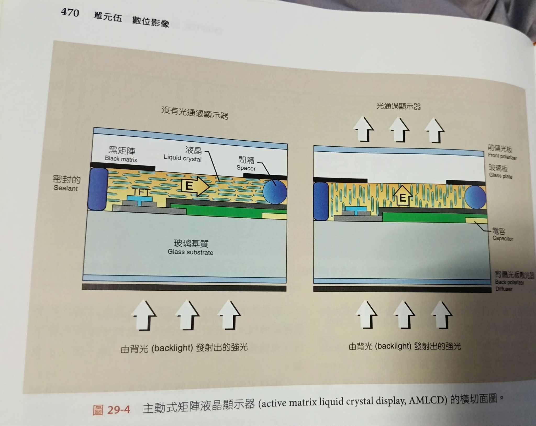 6a521c4ab826d.jpg