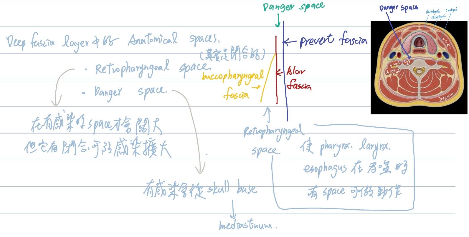 6a524693a7885.jpg