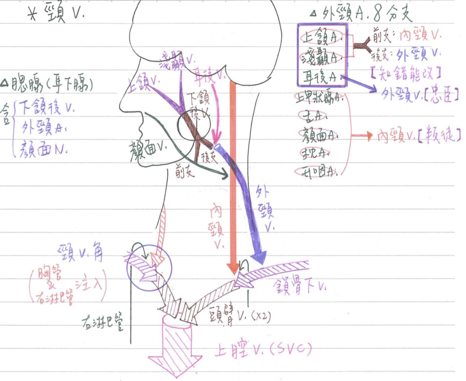 6a52e910635a7.jpg