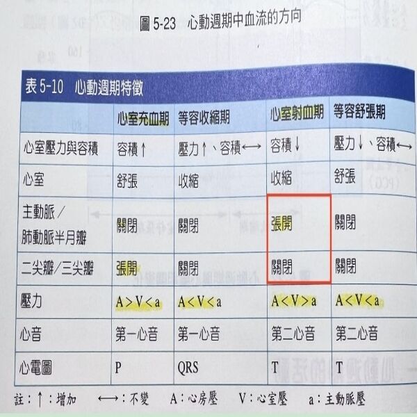 6a5329ae8b8ef.jpg