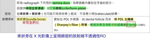 6a532cfc0049a.jpg