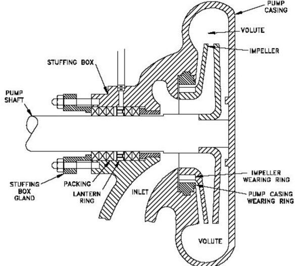 6a534e3743d30.jpg