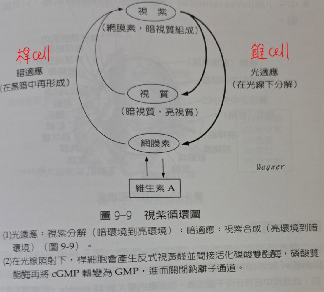 6a53913a4e9a5.jpg