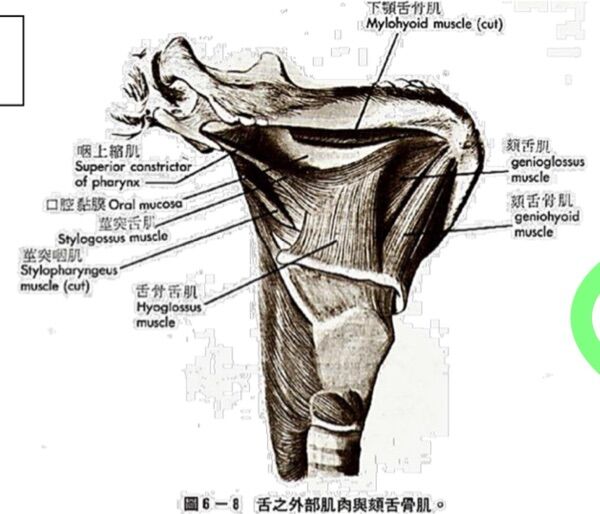 6a547081be7eb.jpg