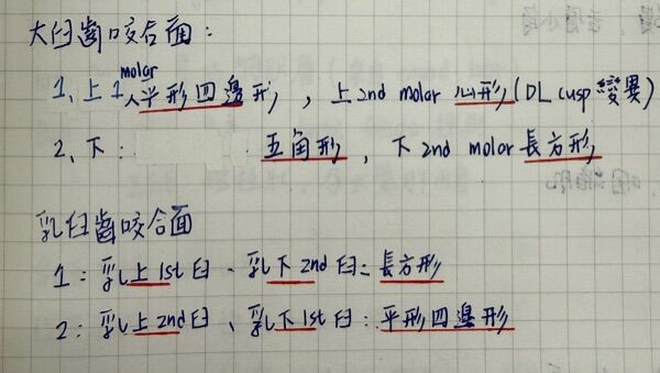 6a548006cac35.jpg