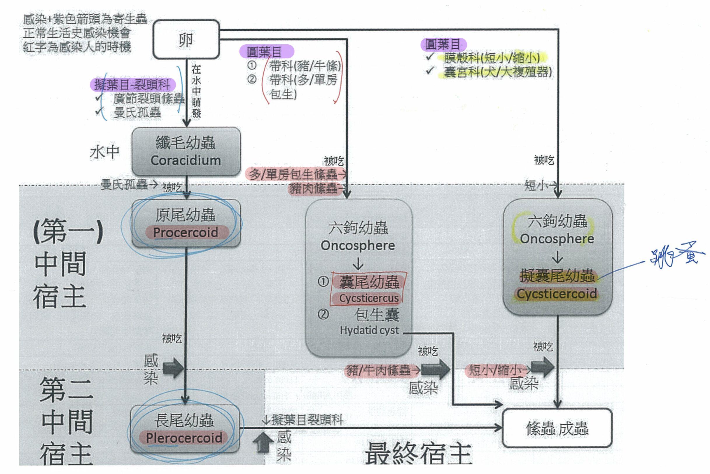 6a559f4f99cb0.jpg