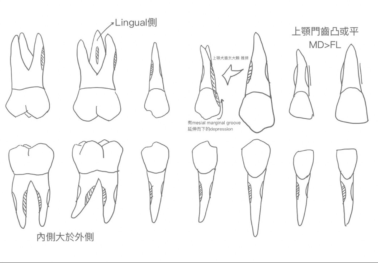 6a570e667ce46.jpg